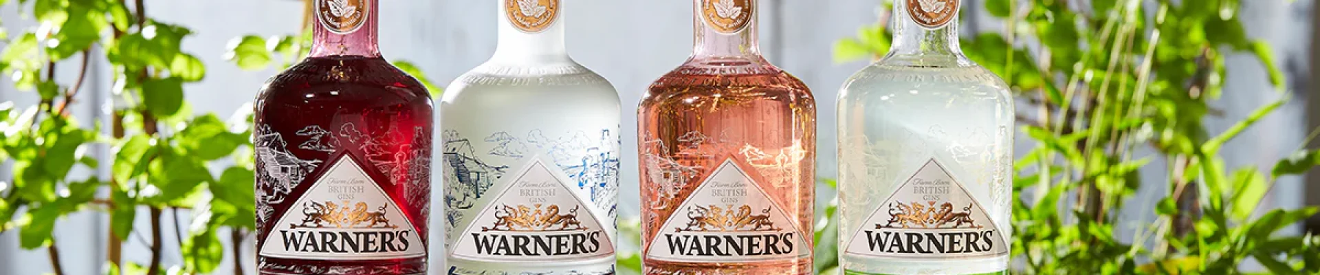 Warners_Distillery Warners_Distillery